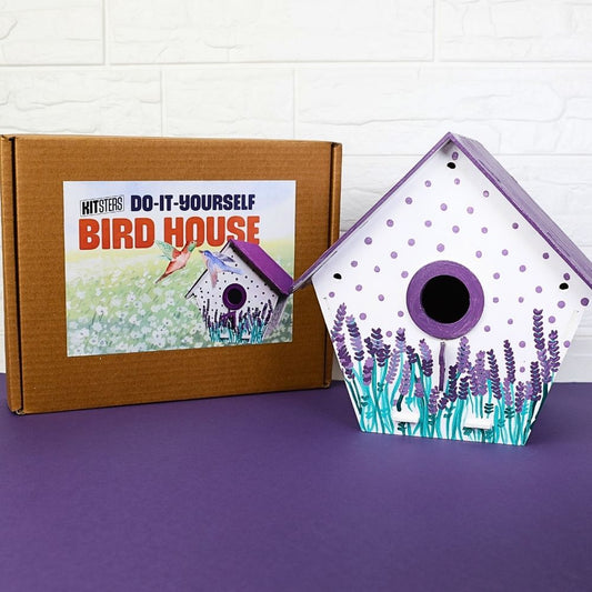 DIY Bird House Kit