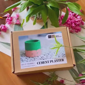 DIY Cement Planter Kit