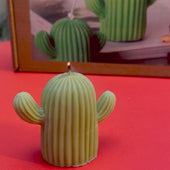 DIY Cactus Candle Kit